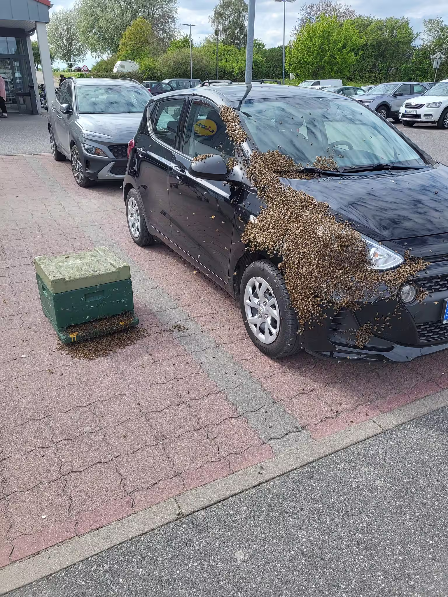 Einige Einsatzbilder